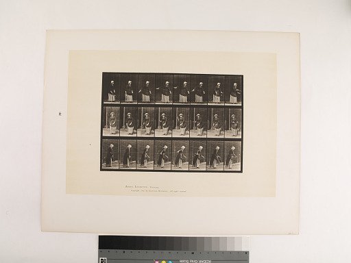 Animal Locomotion. Plate 296.