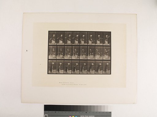 Animal Locomotion. Plate 297.