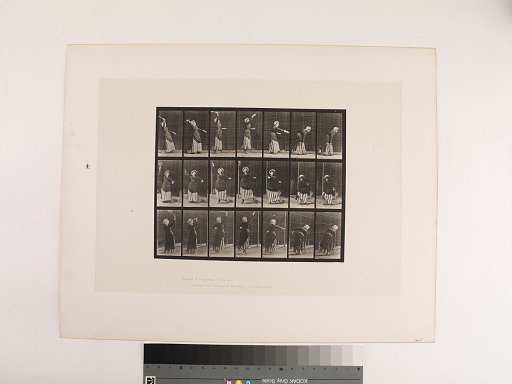 Animal Locomotion. Plate 298.