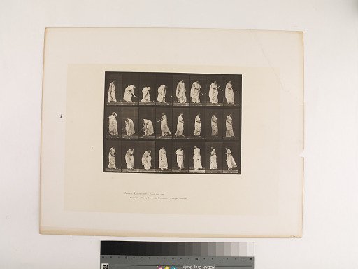 Animal Locomotion. Plate 299.