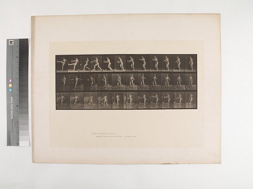 Animal Locomotion. Plate 301.