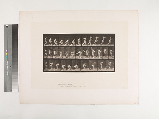 Animal Locomotion. Plate 303.