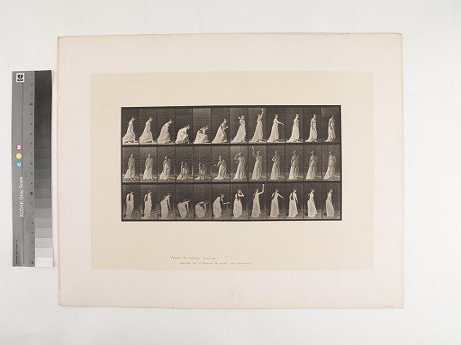Animal Locomotion. Plate 306.