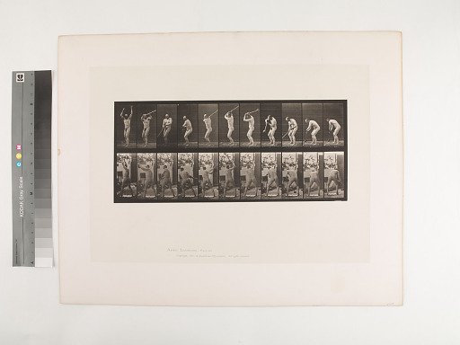 Animal Locomotion. Plate 308.