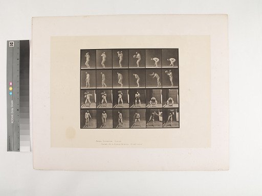 Animal Locomotion. Plate 312.