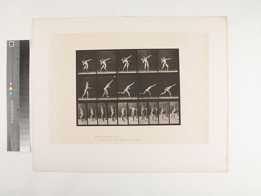 Animal Locomotion. Plate 314.
