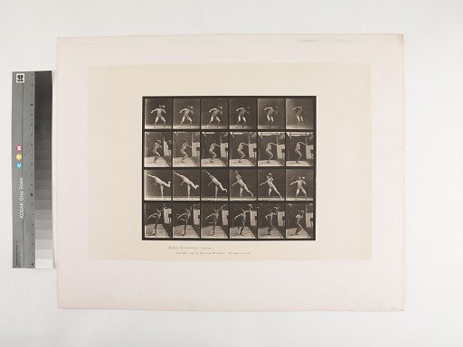 Animal Locomotion. Plate 315.