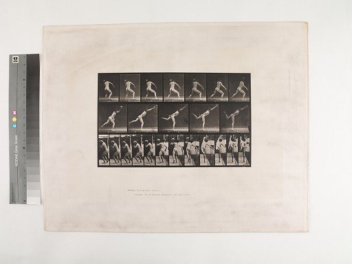 Animal Locomotion. Plate 316.