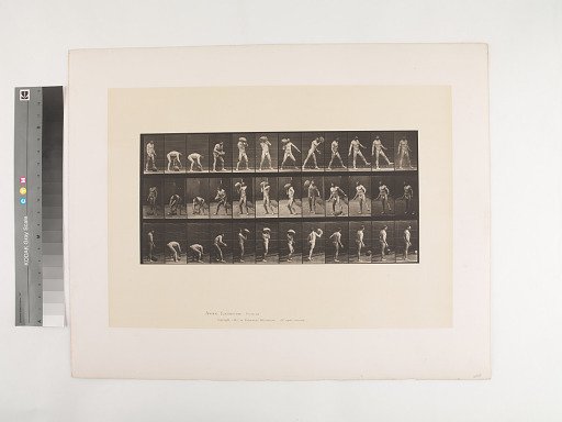 Animal Locomotion. Plate 317.