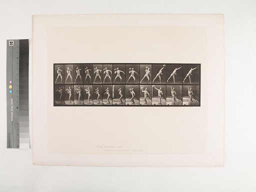 Animal Locomotion. Plate 319.