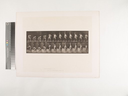 Animal Locomotion. Plate 320.