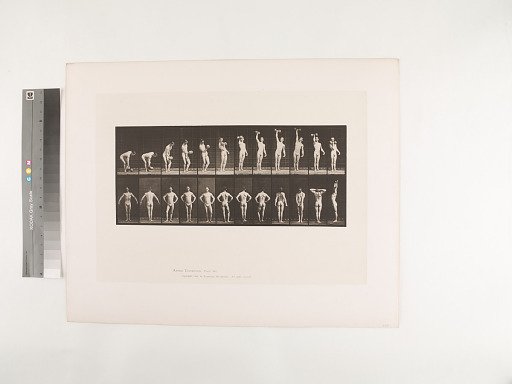 Animal Locomotion. Plate 321.
