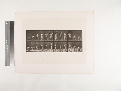 Animal Locomotion. Plate 323.