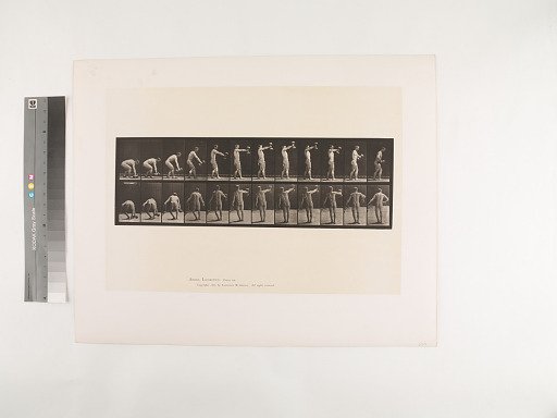 Animal Locomotion. Plate 326.