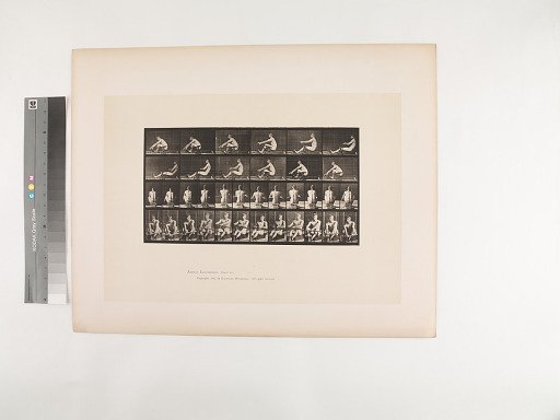 Animal Locomotion. Plate 327.