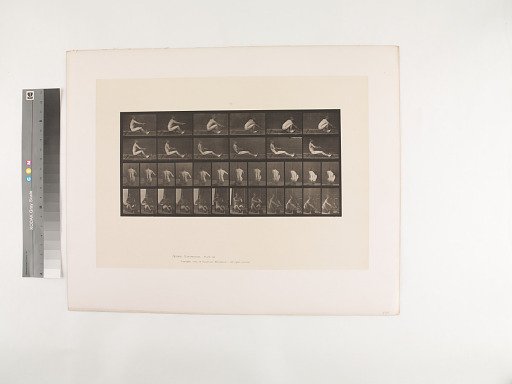 Animal Locomotion. Plate 328.