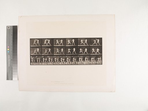 Animal Locomotion. Plate 329.