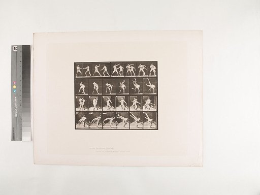 Animal Locomotion. Plate 332.