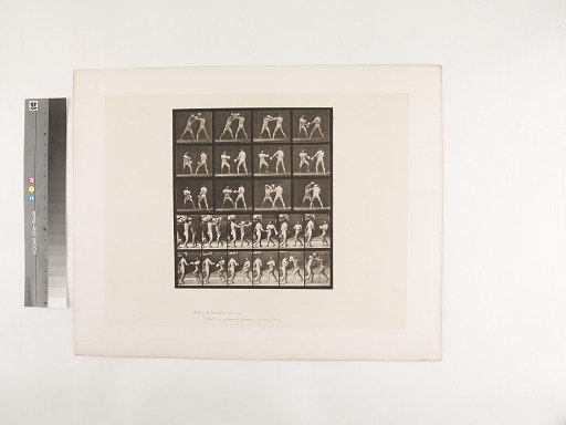 Animal Locomotion. Plate 334.