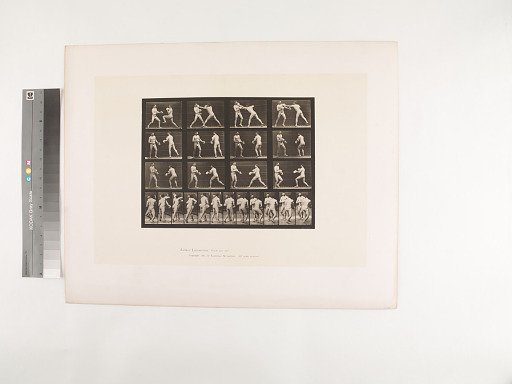 Animal Locomotion. Plate 335.