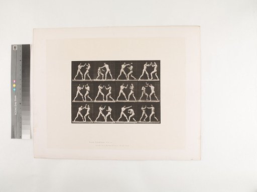 Animal Locomotion. Plate 336.