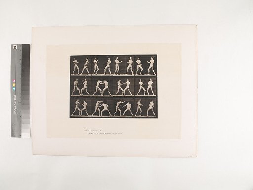 Animal Locomotion. Plate 338.