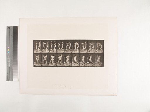 Animal Locomotion. Plate 339.