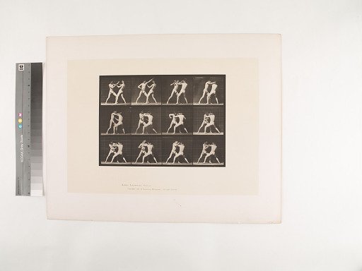 Animal Locomotion. Plate 340.