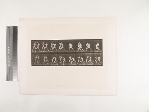 Animal Locomotion. Plate 349.