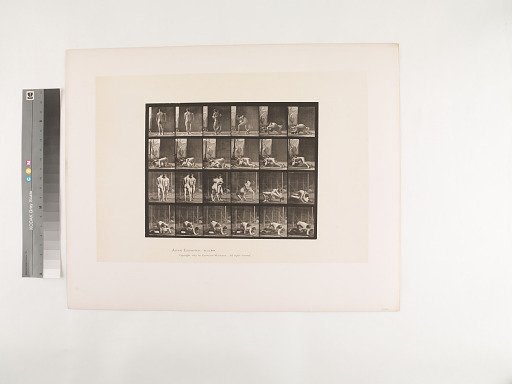 Animal Locomotion. Plate 346.