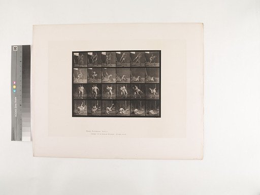 Animal Locomotion. Plate 348.