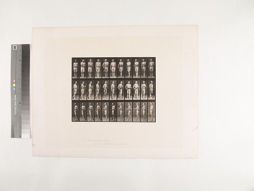 Animal Locomotion. Plate 356.