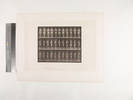 Animal Locomotion. Plate 352.