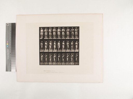 Animal Locomotion. Plate 353.