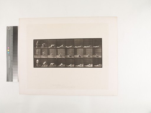 Animal Locomotion. Plate 357.