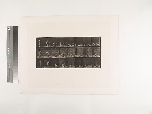 Animal Locomotion. Plate 358.