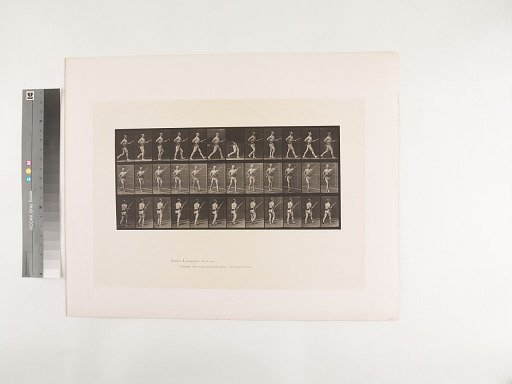 Animal Locomotion. Plate 359.