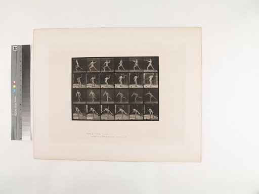 Animal Locomotion. Plate 360.