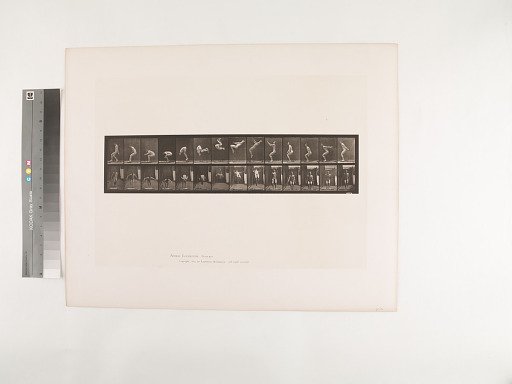 Animal Locomotion. Plate 362.