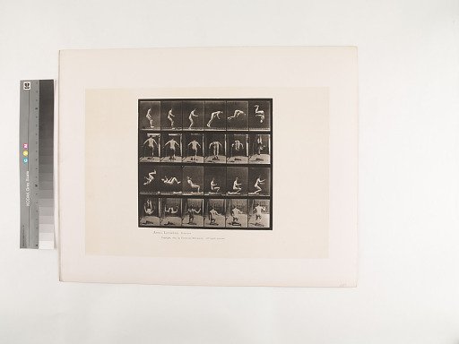 Animal Locomotion. Plate 363.