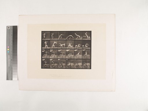 Animal Locomotion. Plate 364.