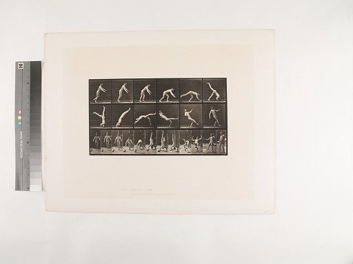 Animal Locomotion. Plate 365.