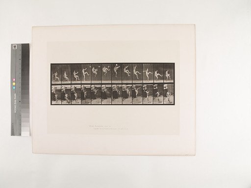 Animal Locomotion. Plate 366.