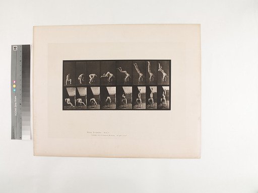 Animal Locomotion. Plate 373.