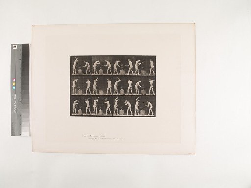 Animal Locomotion. Plate 374.
