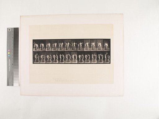 Animal Locomotion. Plate 375.