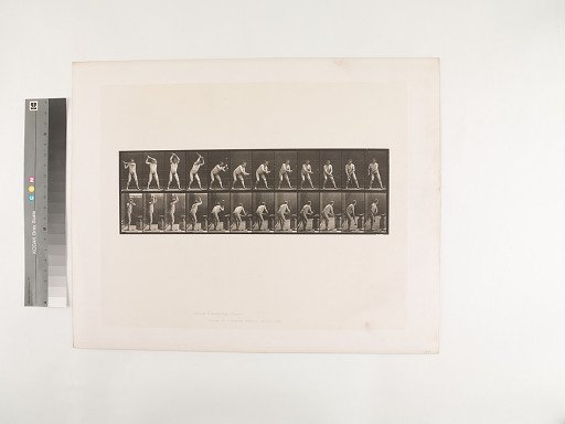 Animal Locomotion. Plate 376.