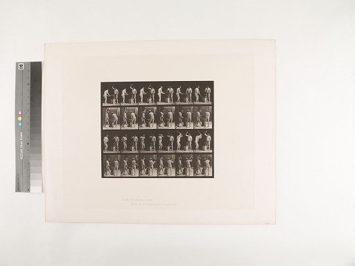 Animal Locomotion. Plate 377.