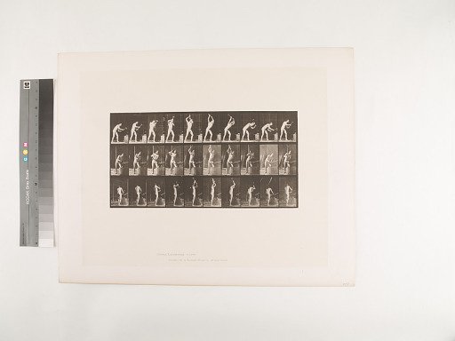 Animal Locomotion. Plate 378.