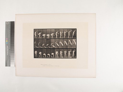 Animal Locomotion. Plate 382.